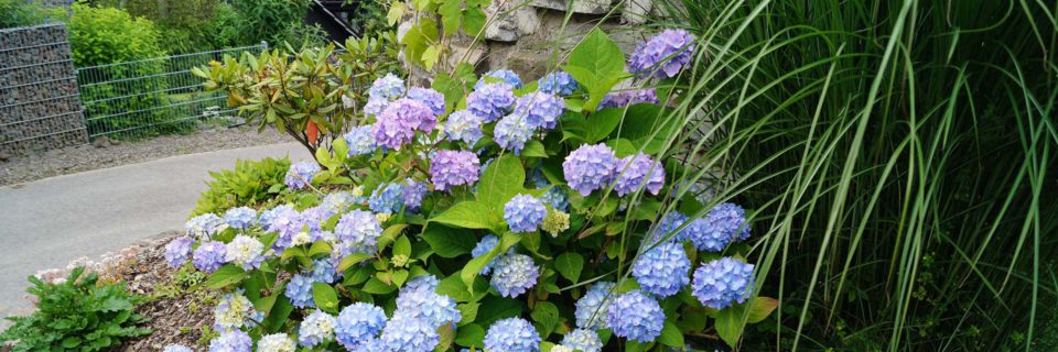 Wir gestalten Ihren Garten(t)raum